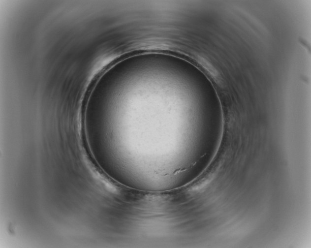 X0000095880840200801111131