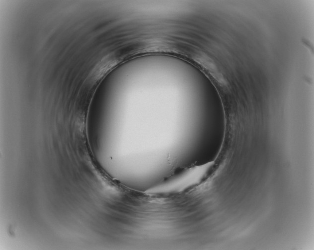 X0000095880841200801111131