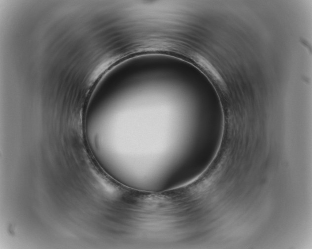 X0000095880842200801111131