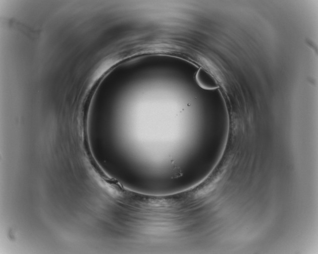 X0000095880843200801111132