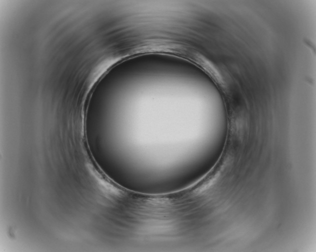 X0000095880844200801111132