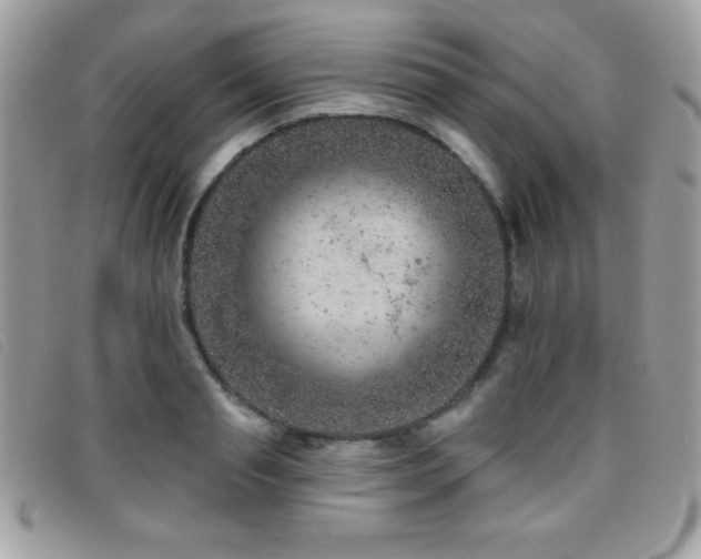 X0000095880845200801111132