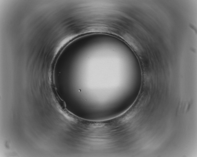 X0000095880846200801111132