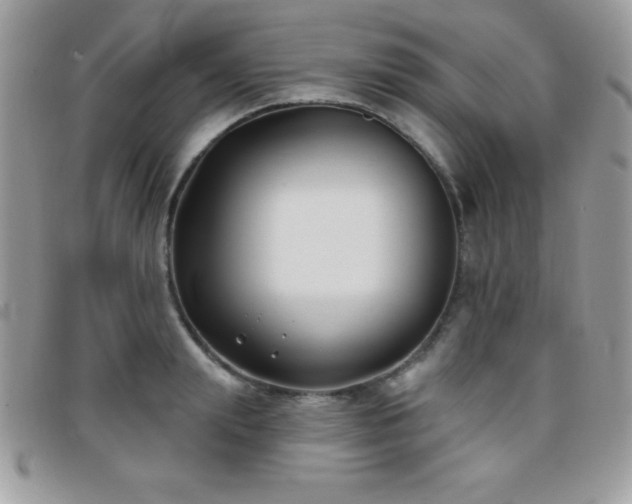 X0000095880847200801111132