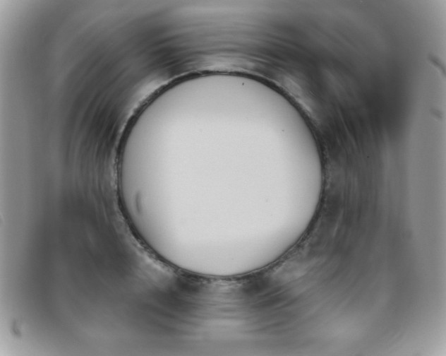X0000095880848200801111132