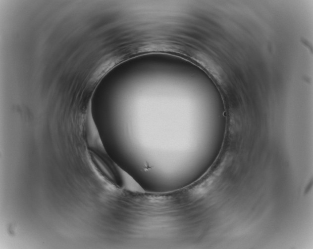 X0000095880849200801111132