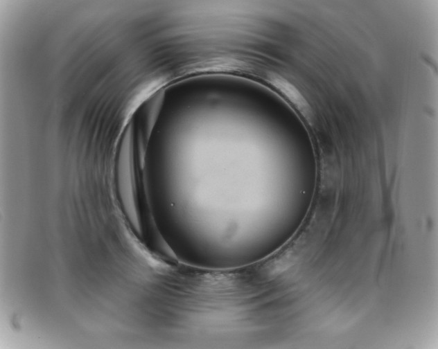 X0000095880850200801111132
