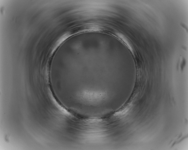 X0000095880851200801111132