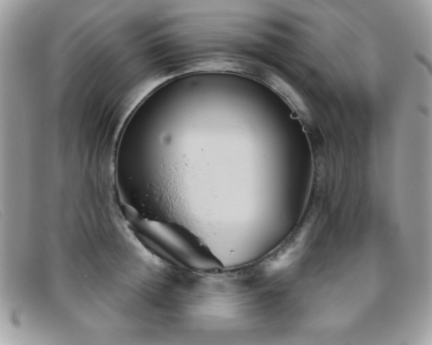 X0000095880852200801111132