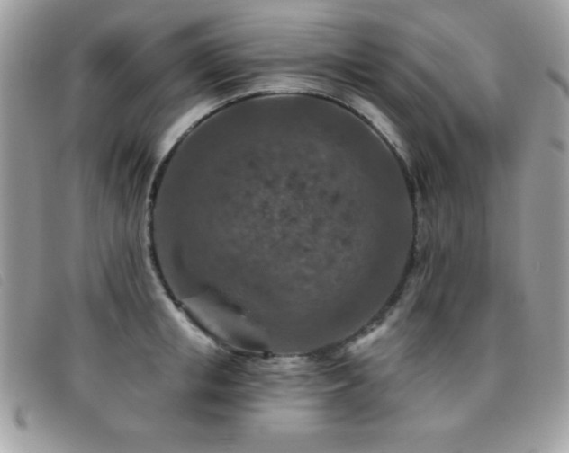 X0000095880853200801111132