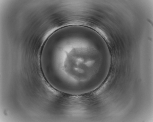 X0000095880854200801111132