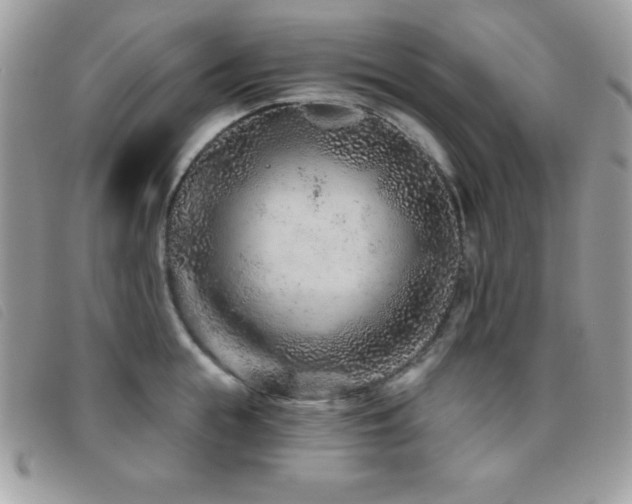 X0000095880855200801111132