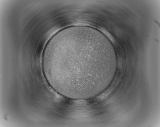 X0000095880856200801111132