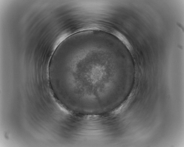 X0000095880858200801111132