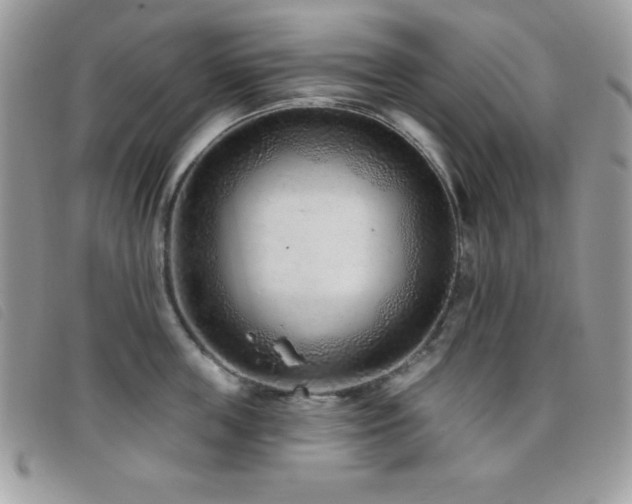 X0000095880859200801111132
