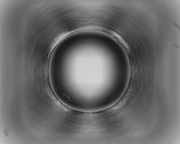 X0000095880860200801111132
