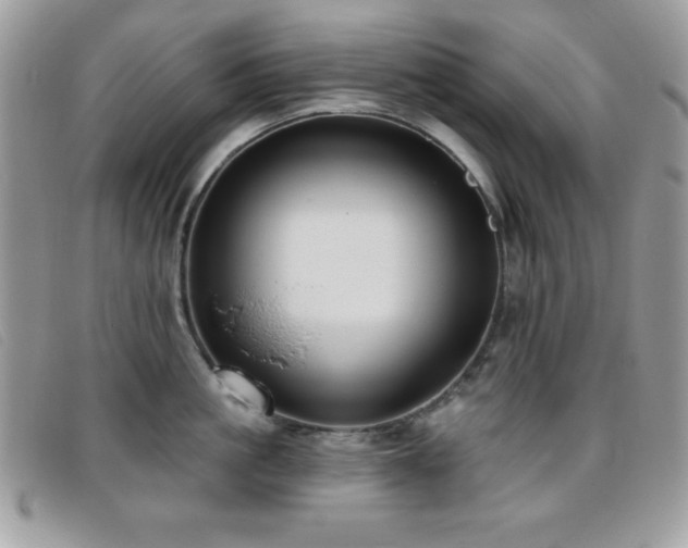 X0000095880861200801111132