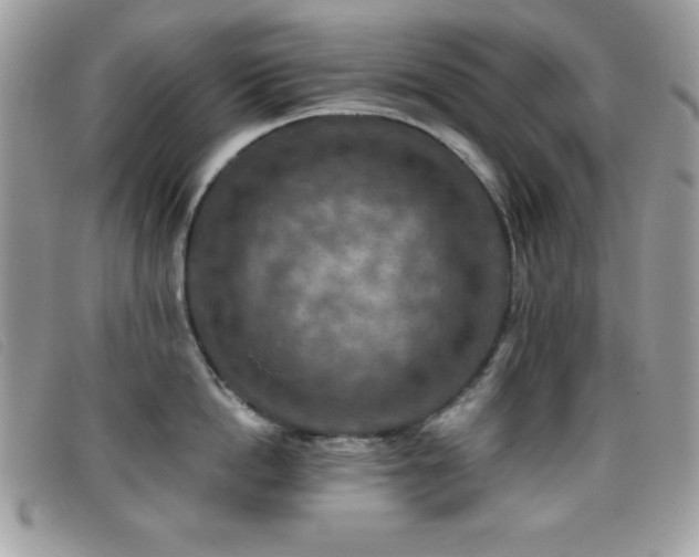 X0000095880862200801111132