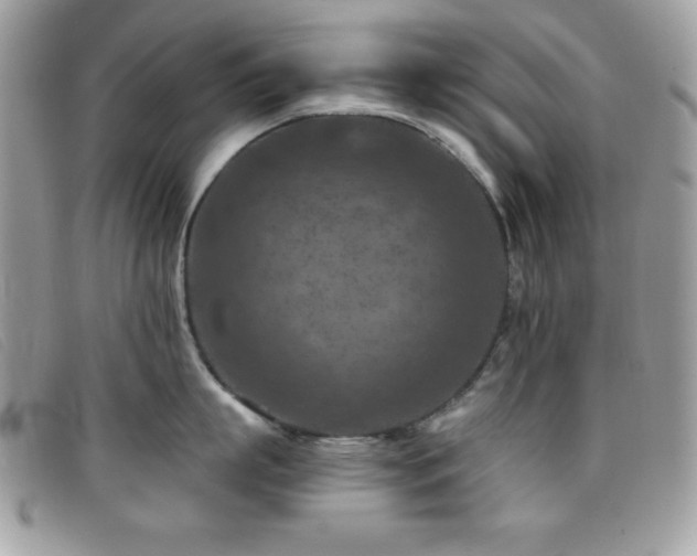 X0000095880863200801111132