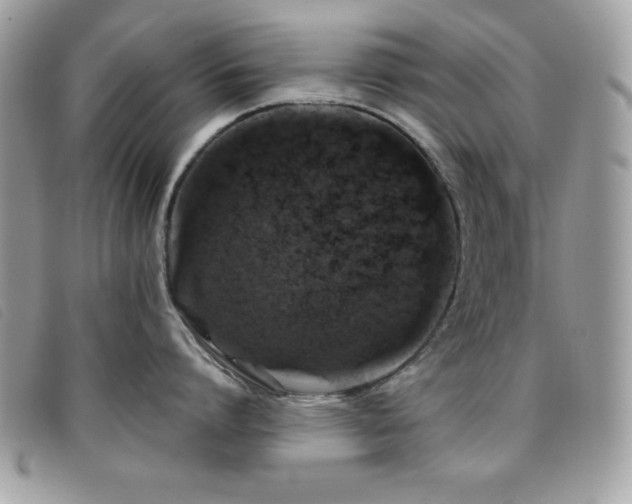 X0000095880864200801111132