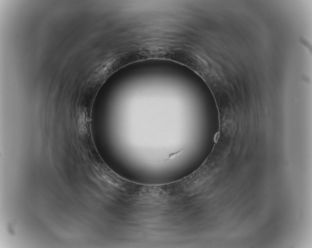 X0000095880866200801111131