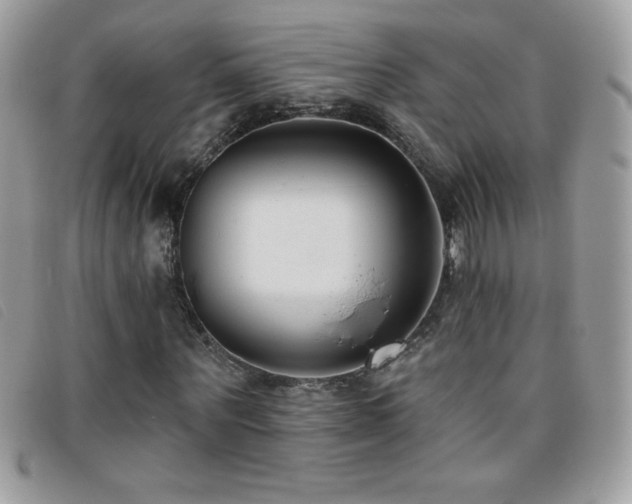 X0000095880867200801111131