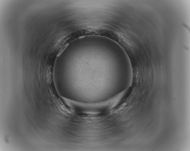 X0000095880868200801111131