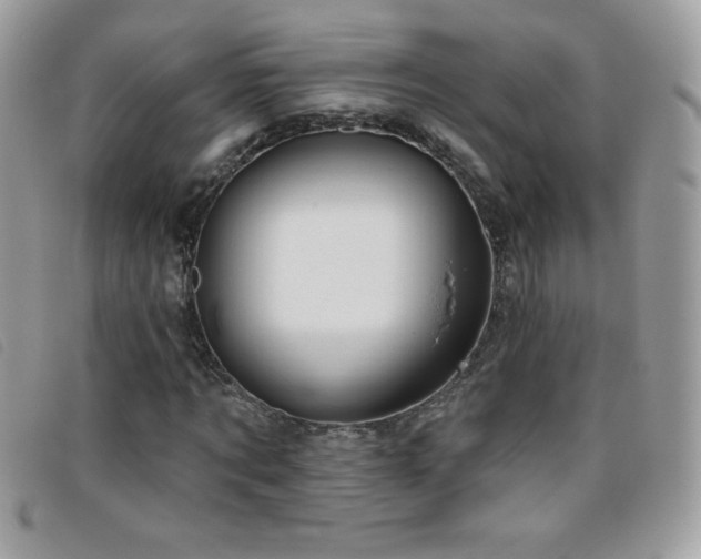 X0000095880869200801111131