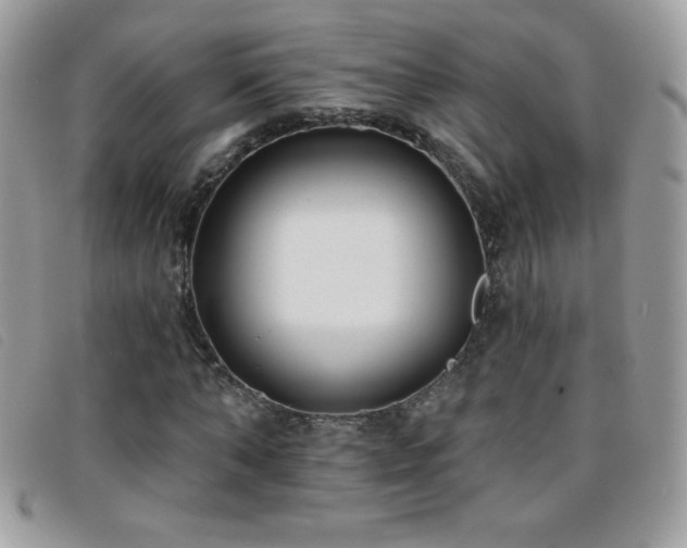 X0000095880870200801111131