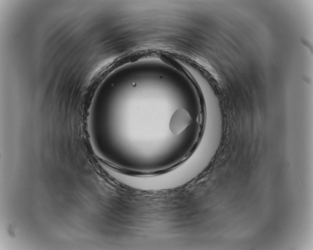 X0000095880872200801111131