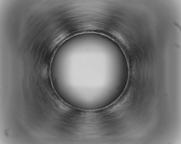 X0000095880873200801111131