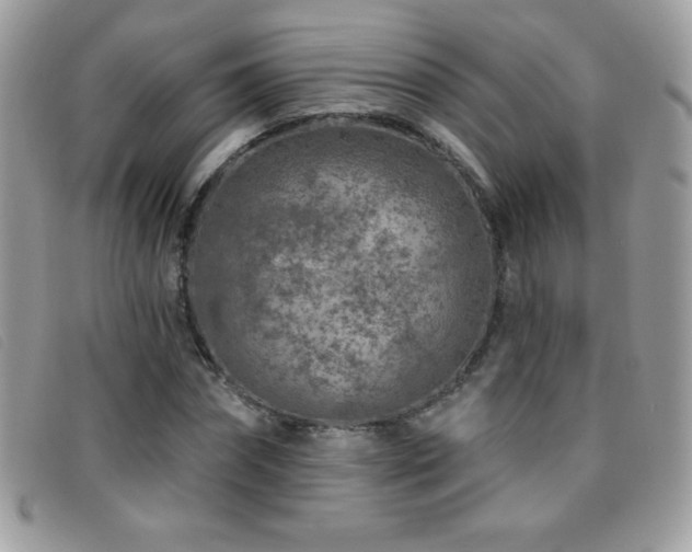 X0000095880874200801111131