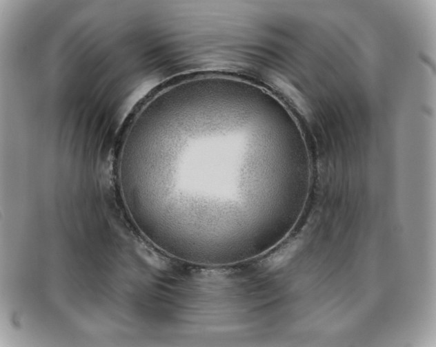 X0000095880875200801111131