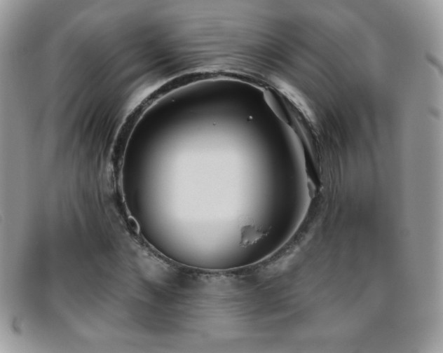 X0000095880876200801111131