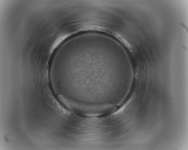 X0000095880877200801111131