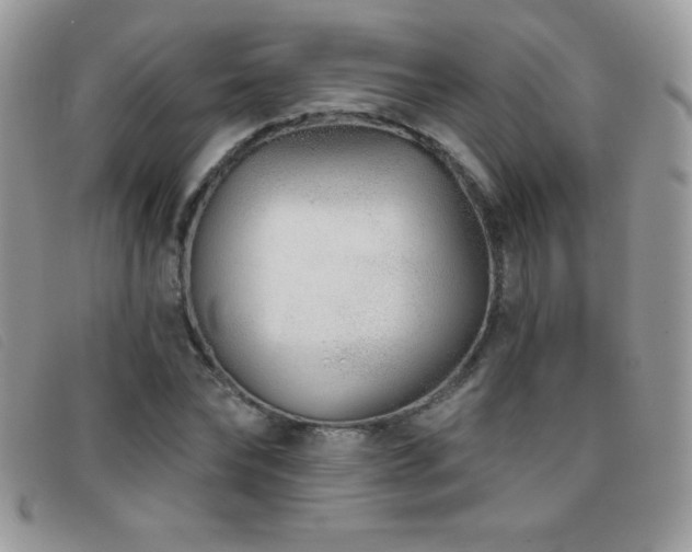 X0000095880878200801111131