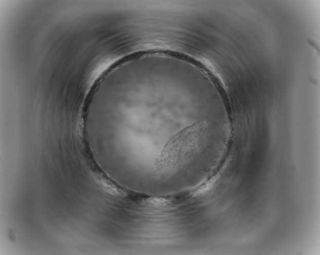 X0000095880879200801111131