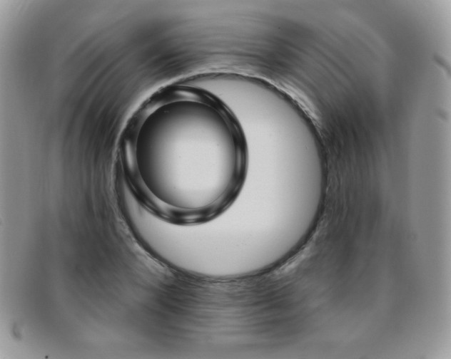 X0000095880880200801111131