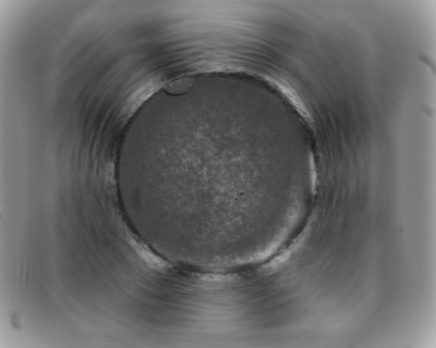 X0000095880881200801111131