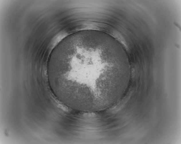 X0000095880882200801111131