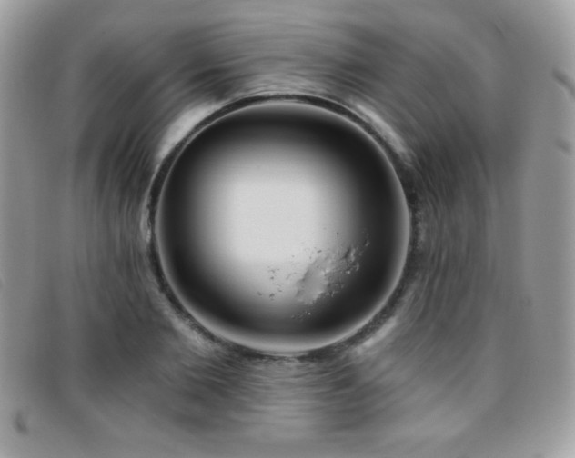 X0000095880885200801111131