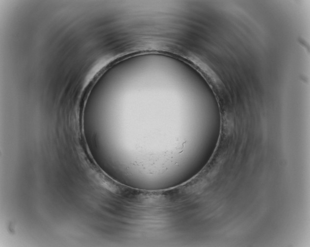 X0000095880886200801111131