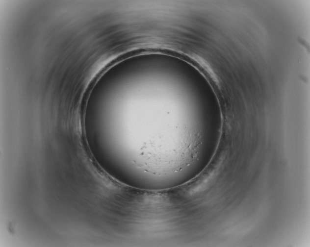 X0000095880887200801111131