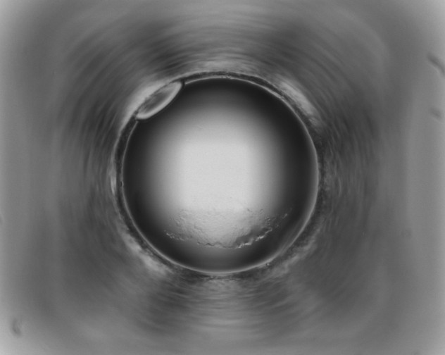 X0000095880888200801111131
