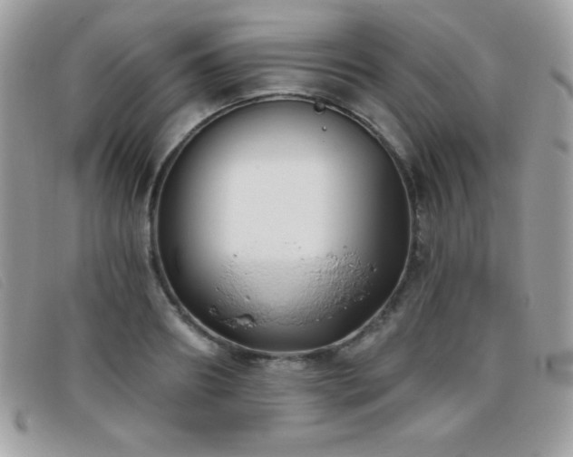 X0000095880890200801111131
