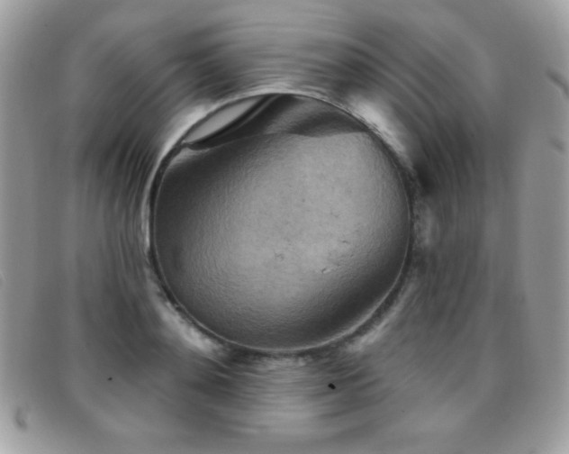 X0000095880892200801111131