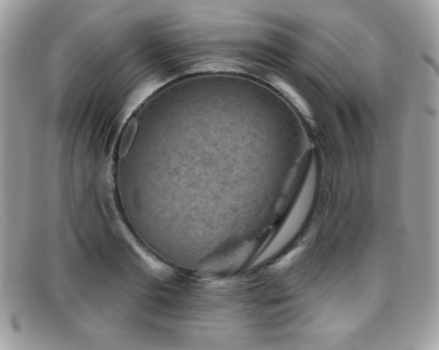 X0000095880893200801111131