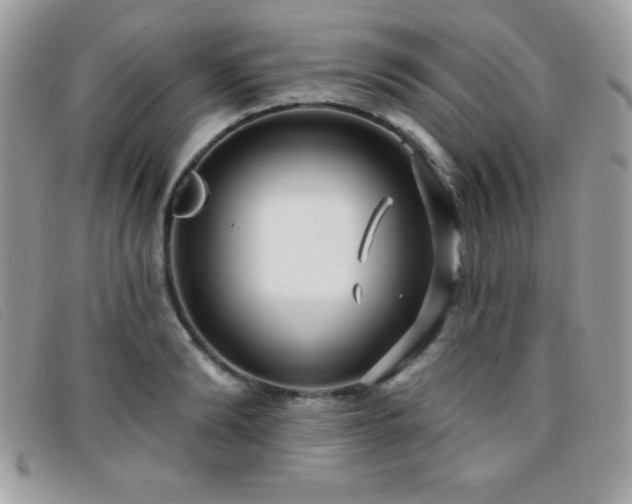 X0000095880894200801111131