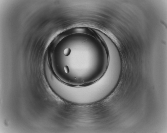 X0000095880896200801111131
