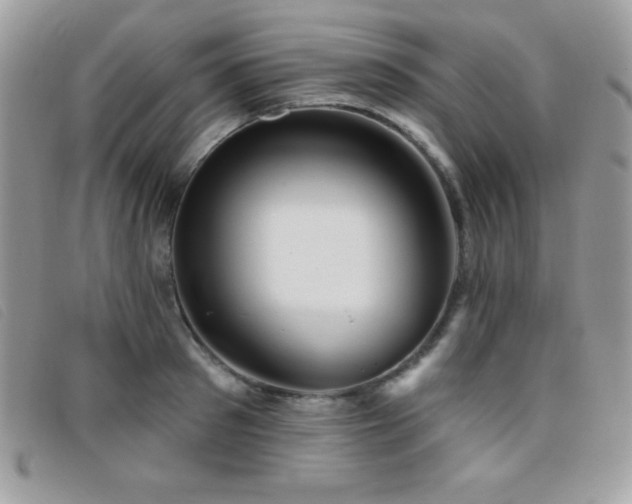 X0000095880897200801111131